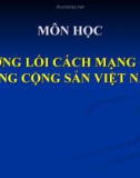 Bài giảng Đường lối cách mạng của Đảng cộng sản Việt Nam.