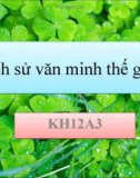 Lịch sử văn minh các nước trên thế giới