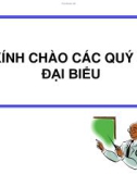 Báo cáo Nghiên cứu dân số Việt Nam trong thời gian tới: Duy trì mức sinh thấp và nhu cầu biện pháp tránh thai cao - TS. Nguyễn Quốc Anh