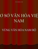 Bài giảng Cơ sở văn hóa Việt Nam - Vùng văn hóa Nam Bộ