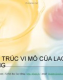 Bài giảng Cấu trúc vi mô của lao động - Trần Văn Kham