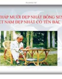 Bài giảng Tư tưởng Hồ Chí Minh: Bài 8 - Nguyễn Thị Hồng