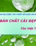 Bản chất cái đẹp