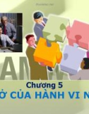 Bài giảng Chương 5: Cơ sở của hành vi nhóm