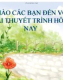 NGHĨA CỦA PHIM ' HỒ CHÍ MINH CHÂN DUNG MỘT CON NGƯỜI'