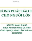 Bài giảng Phương pháp đào tạo cho người lớn