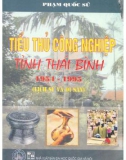 Lịch sử và di sản tiểu thủ công nghiệp tỉnh Thái Bình (1954 - 1995): Phần 1