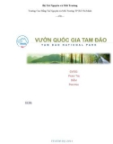 Vườn Quốc Gia Tam Đảo