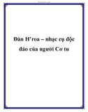 Đàn H'roa – nhạc cụ độc đáo của người Cơ tu