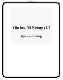 Văn hóa Nõ Nường : Lễ hội nõ nường