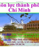 Bài giảng Thành phố Hồ Chí Minh học - Nguồn lực thành phố Hồ Chí Minh