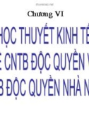 Chương VI: Học thuyết kinh tế về CNTB độc quyền và CNTB độc quyền nhà nước