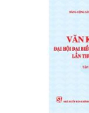 Văn kiện Đại hội đại biểu toàn quốc lần thứ XIII (Tập 1)