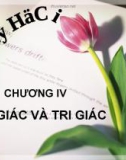 Bài giảng Tâm lý học - Chương 4 Cảm giác và tri giác - GV. Nguyễn Xuân Long