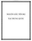 NGUỒN GỐC TÊN HỌ TẠI TRUNG QUỐC