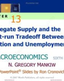 Lecture Macroeconomics (Sixth Edition): Chapter 13 - N. Gregory Mankiw