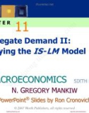 Lecture Macroeconomics (Sixth Edition): Chapter 11 - N. Gregory Mankiw