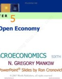 Lecture Macroeconomics (Sixth Edition): Chapter 5 - N. Gregory Mankiw