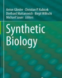 Ebook Synthetic biology