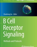 Ebook B cell receptor signaling: Methods and protocols