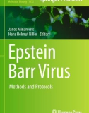 Ebook Epstein barr virus: Methods and protocols