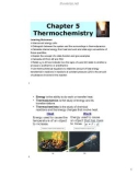 Lecture General Chemistry 1 - Chapter 5: Thermochemistry