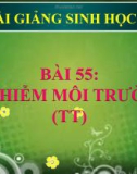 Bài giảng Sinh học 9 bài 55: Ô nhiễm môi trường ( tiếp theo)