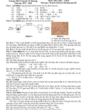 Đề thi chọn học sinh giỏi môn Hóa học 8 năm 2017-2018 có đáp án - Trường THCS Nguyễn Tri Phương