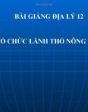 Bài giảng Địa lý 12 bài 25: Tổ chức lãnh thổ nông nghiệp