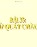 Bài giảng Địa lý 7 bài 35: Khái quát châu Mĩ