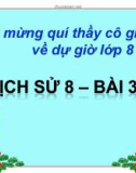 Bài 30: Phong trào yêu nước chống Pháp từ đầu TK 20 - Bài giảng điện tử Lịch sử 8 - GV: M.T.Thanh