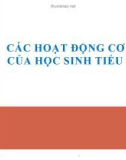 CÁC HOẠT ĐỘNG CƠ BẢN CỦA HỌC SINH TIỂU HỌC