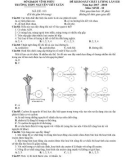 Đề thi KSCL lần 4 môn Sinh học lớp 10 năm 2018 - THPT Nguyễn Viết Xuân - Mã đề 103