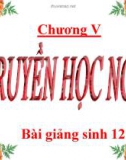 Bài giảng Sinh học 12 bài 21: Di truyền y học