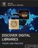 Ebook Discover digital libraries: Theory and practice