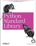 Ebook Standard Python Library