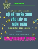 Bộ đề tuyển sinh vào lớp 10 môn Toán năm học 2020-2021 (Có đáp án và giải chi tiết)