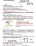 Đề thi thử THPT Quốc gia môn Sinh học lần 2 năm 2017 - Trường THPT Lương Ngọc Quyến - Mã đề 002