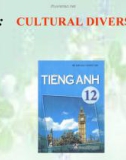 Bài giảng Tiếng Anh 12 Unit 2: Cultural diversity