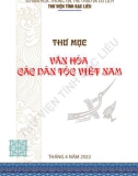 Văn hóa các dân tộc Việt Nam: Thông tin thư mục