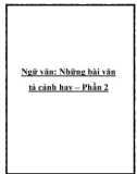 Những bài văn tả cảnh hay – Phần 2