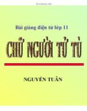 Bài giảng Ngữ văn 11 - Bài: Chữ người tử tù