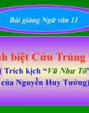 Bài giảng Ngữ văn 11 tuần 16: Vĩnh biệt Cửu trùng đài (Trích Vũ Như Tô)