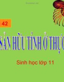 Bài giảng Sinh học 11 bài 42: Sinh sản hữu tính ở thực vật