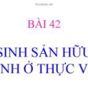 Bài giảng Bài 42: Sinh sản hữu tính ở thực vật