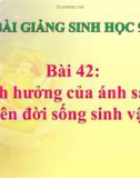 Bài giảng Sinh học 9 bài 42: Ảnh hưởng của ánh sáng lên đời sống sinh vật