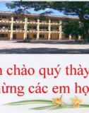 Bài giảng Ngữ văn 1: Đọc Tiểu Thanh kí (Độc Tiểu Thanh kí) - Nguyễn Du