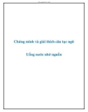 Văn mẫu lớp 9: Chứng minh và giải thích câu tục ngữ Uống nước nhớ nguồn