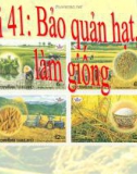 Bài giảng Công nghệ 10 bài 41: Bảo quản hạt, củ làm giống