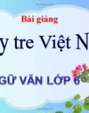 Bài giảng Ngữ văn 6 bài 26: Cây tre Việt Nam